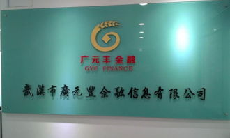 武漢廣元豐金融信息財(cái)務(wù)咨詢服務(wù) 打造企業(yè)財(cái)務(wù)健康新生態(tài)